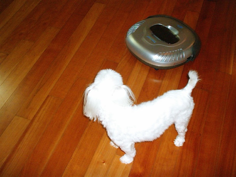 마미로봇, 우리회사 로봇청소기 