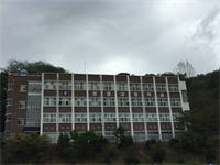 안동 체육대회 사진