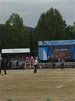 안동 체육대회 사진