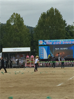 안동 체육대회 사진