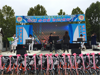 안동 체육대회 사진