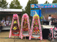 안동 체육대회 사진