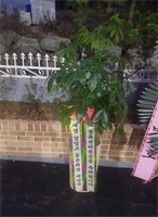 8회 윤문섭  동기회장 물류센터 준공식