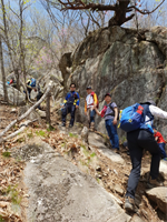 4월 정기산행 결과보고