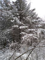 2017년 경일산악회 첫 산행 결과 보고