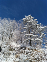 2017년 경일산악회 첫 산행 결과 보고