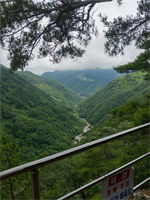 7월 정기산행 결과 보고